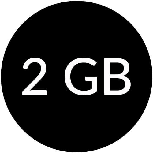 2GB Flash Drives